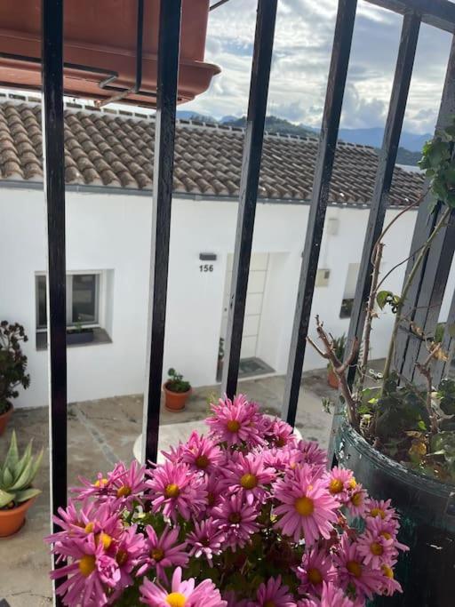 Willa Casa La Fuente Alta Algodonales Zewnętrze zdjęcie