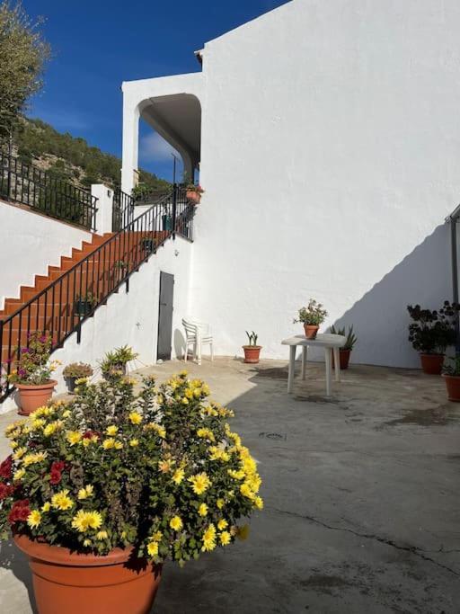 Willa Casa La Fuente Alta Algodonales Zewnętrze zdjęcie